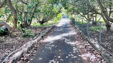 Photo 3 of Country house for sale in Montaña - Zamora, Los Realejos