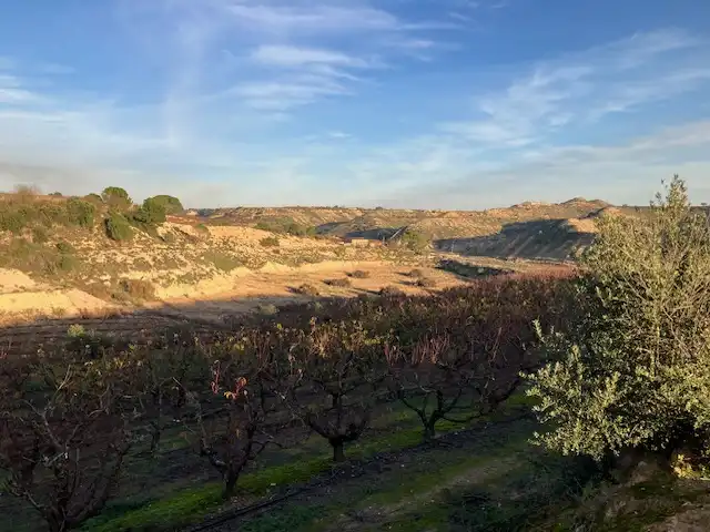 Terreni e lotti in vendita a A-1234, imagen 7