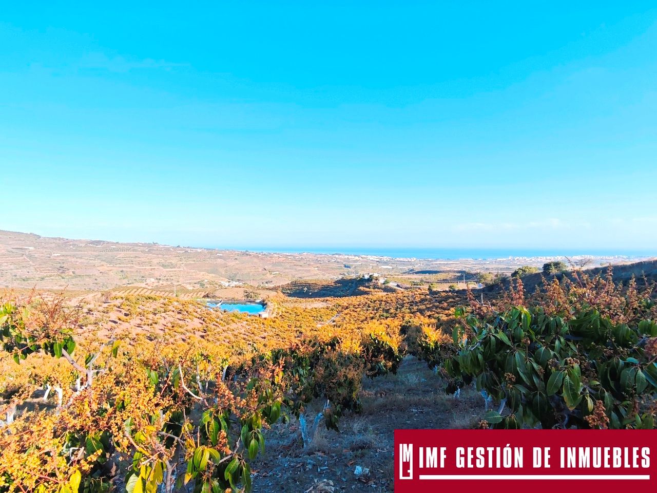 Exterior view of Land for sale in Vélez-Málaga