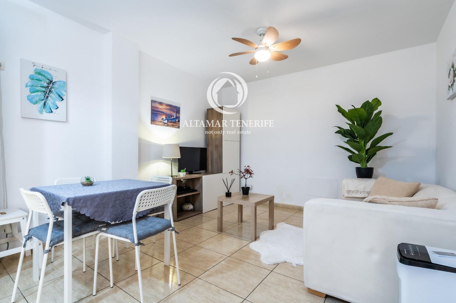 Vista exterior de Apartament en venda en Granadilla de Abona amb Terrassa i Moblat