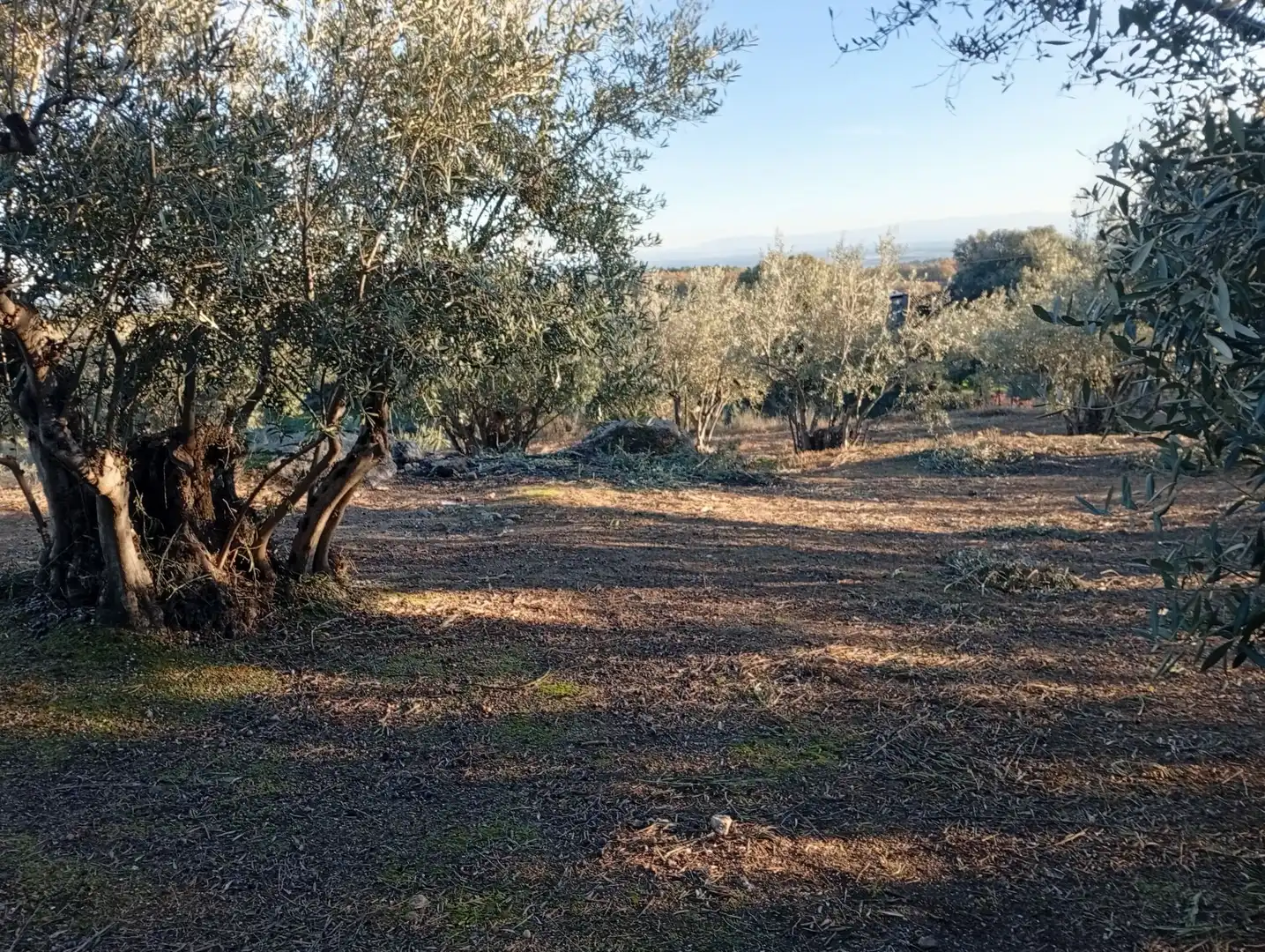Terreni e lotti in vendita a Villanueva de la Vera, imagen 28