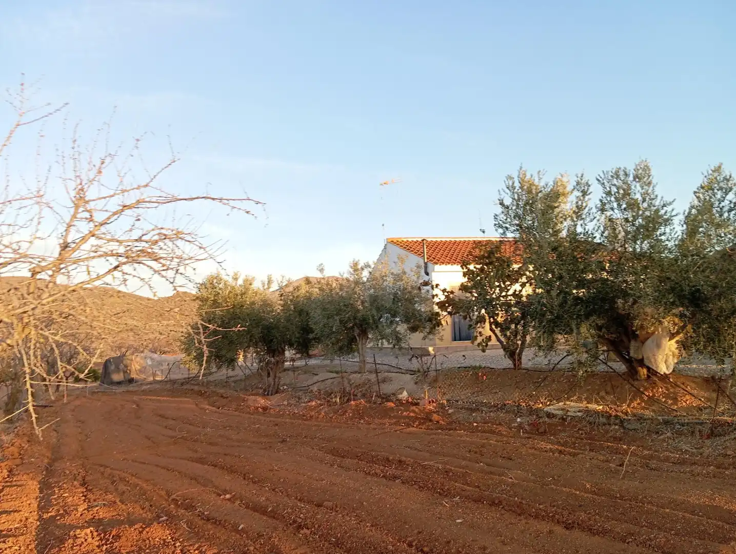 Houses for sale in Bejar