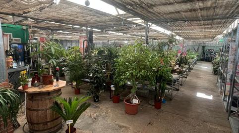 Foto 5 von Grundstücke zur Miete in Avenida de Madrid, La Garena, Alcalá de Henares