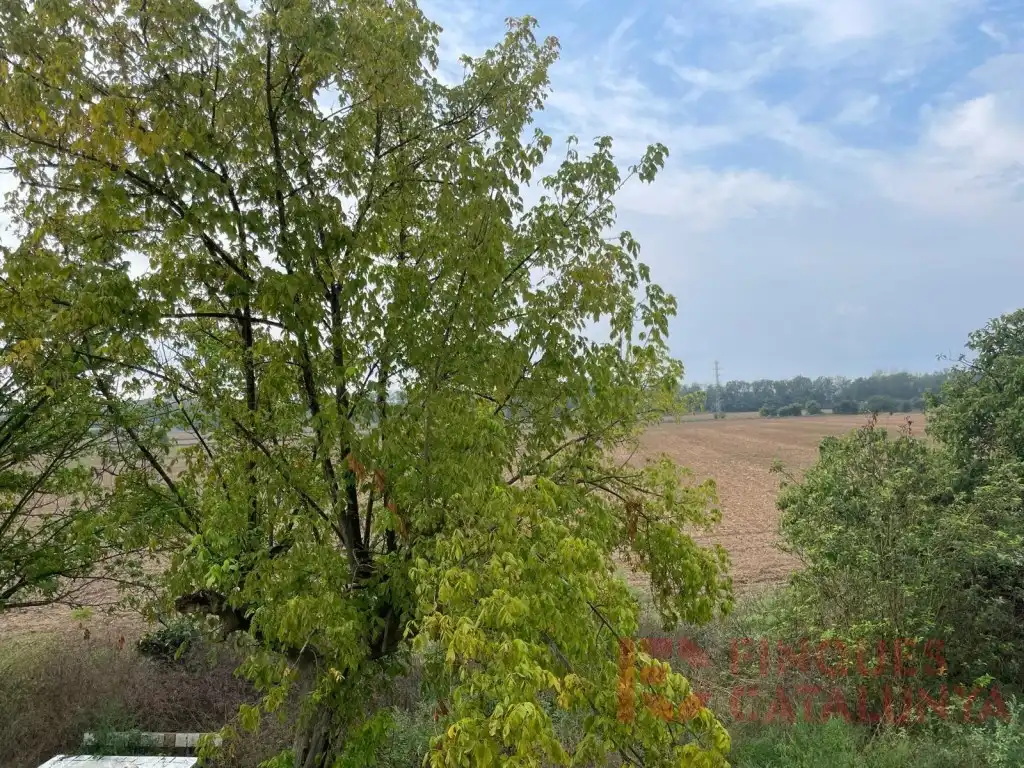 Casa rústica en venta en Cassà de la Selva, imagen 49