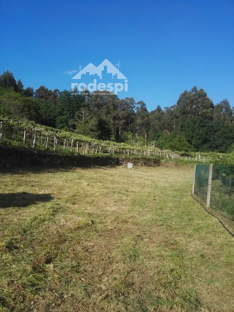 Terreny rústic en venda a A Cañiza