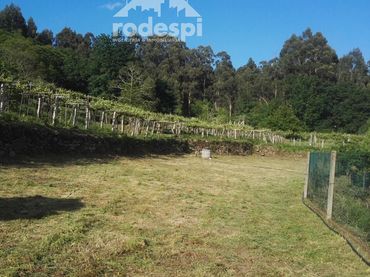 Terreno rústico en venta en A Cañiza