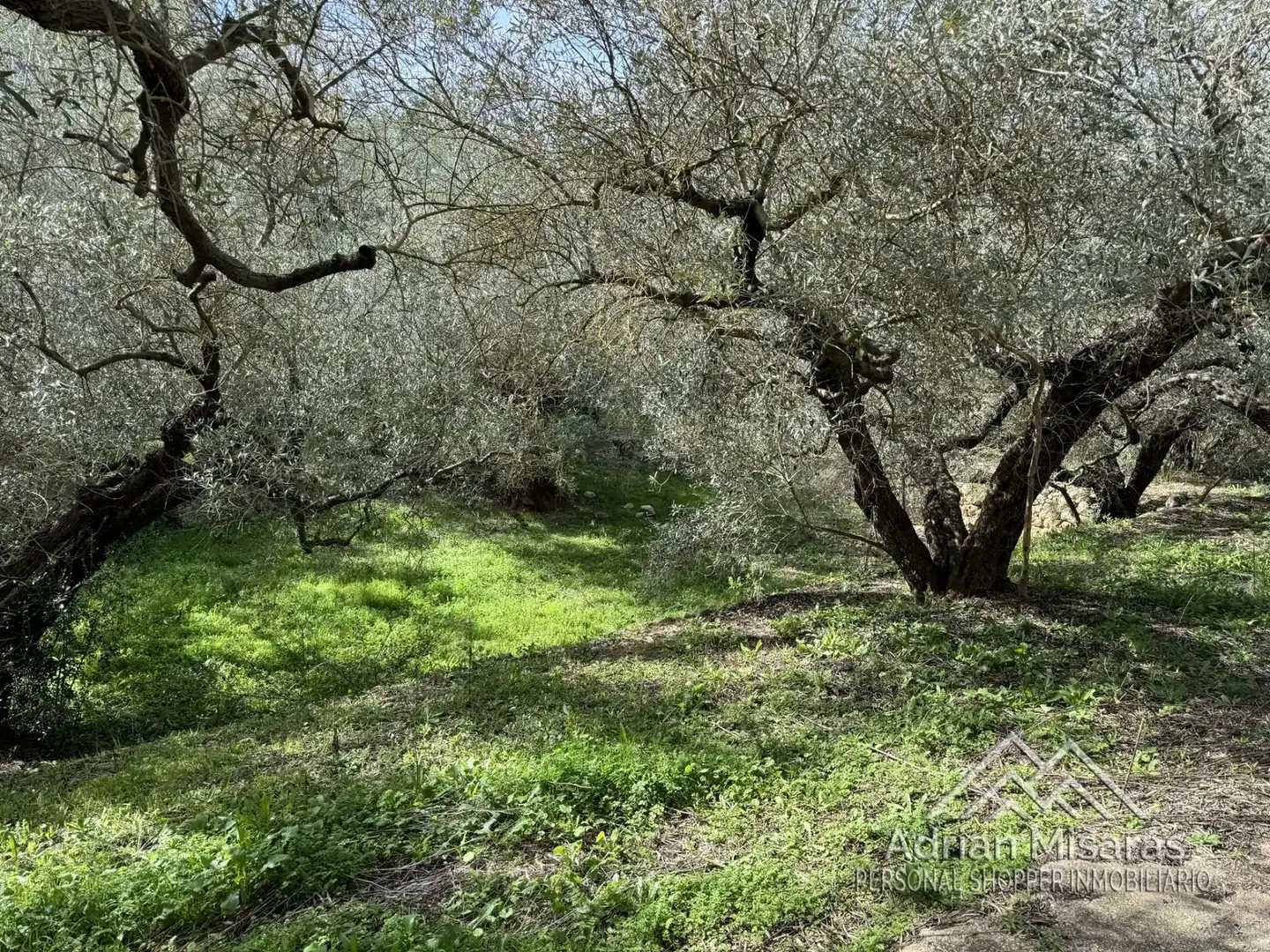 Terreno rústico en venta en L'Aldea, imagen 22