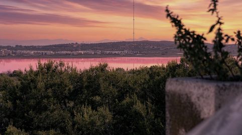 Foto 4 de Estudi en venda a Zona Carrefour - Urbanizaciones, Torrevieja