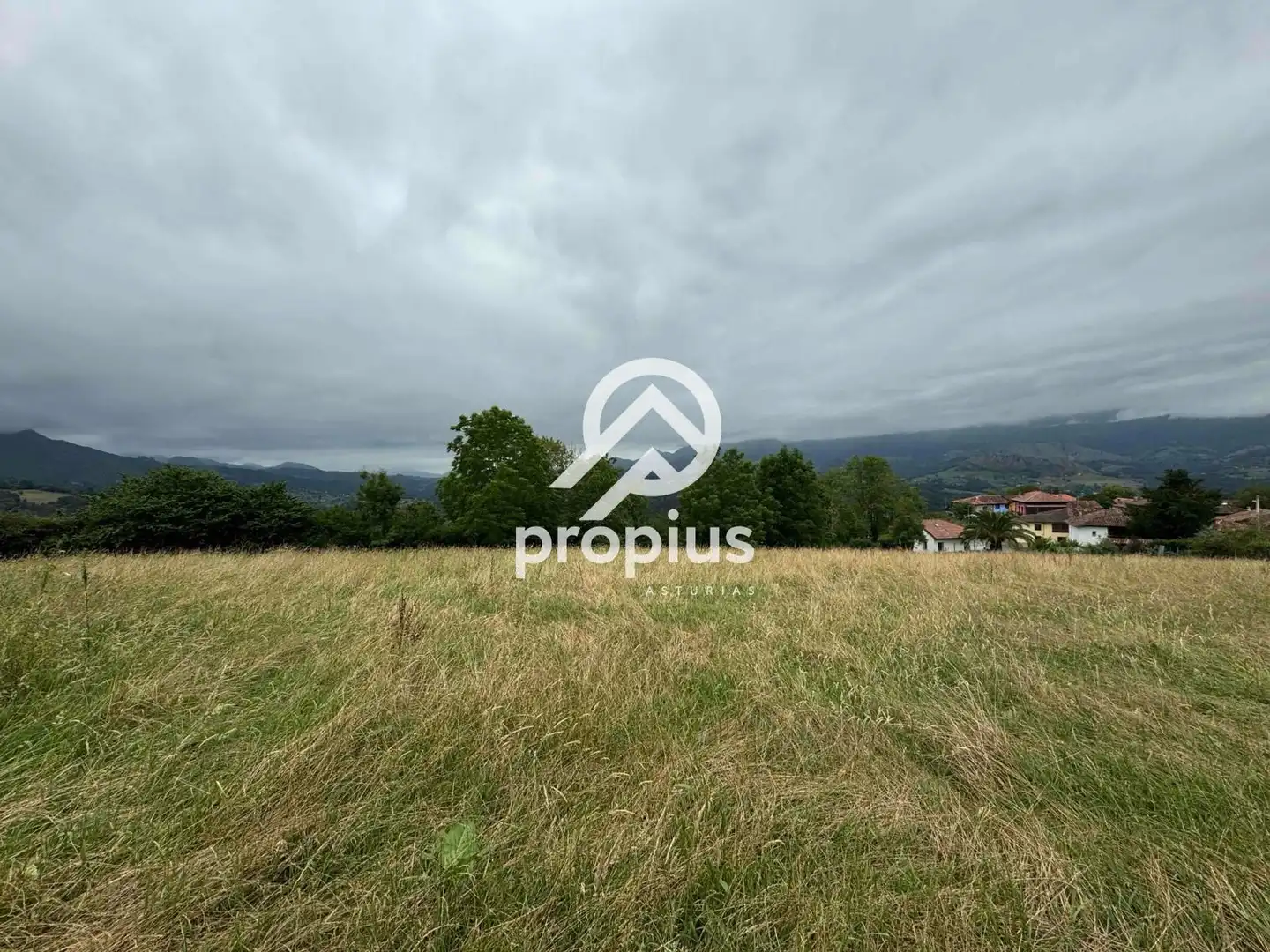 Rural land for sale in Arenas, imagen 23
