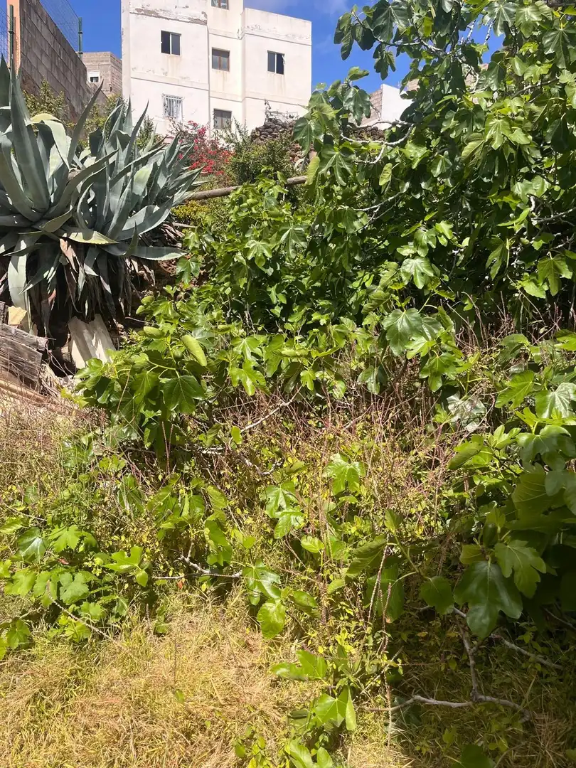 Casa o xalet en venda en Las Palmas de Gran Canaria