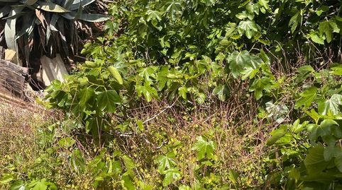 Foto 4 de Casa o chalet en venta en Tamaraceite, Las Palmas de Gran Canaria