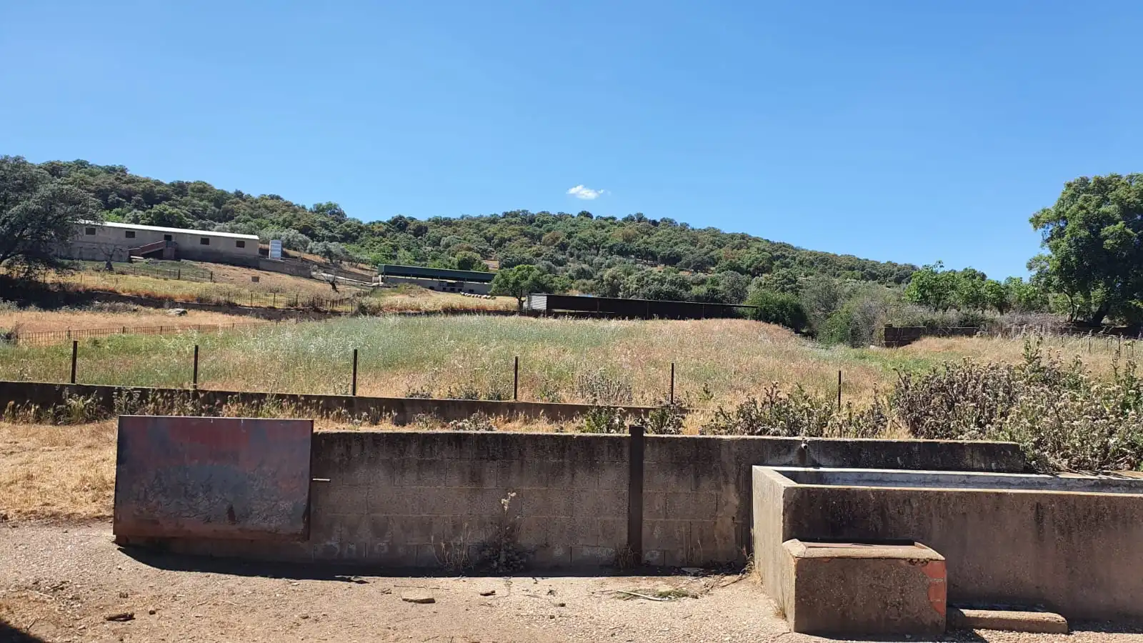 Nave industrial en venta en Salvaleón