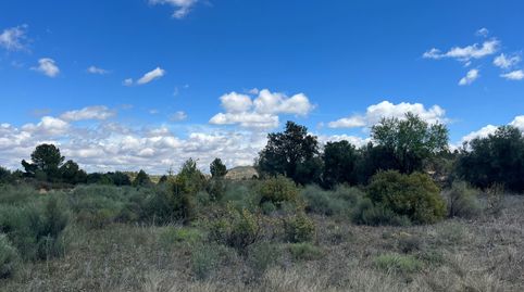 Terreno llano en Calaceite, imagen 2