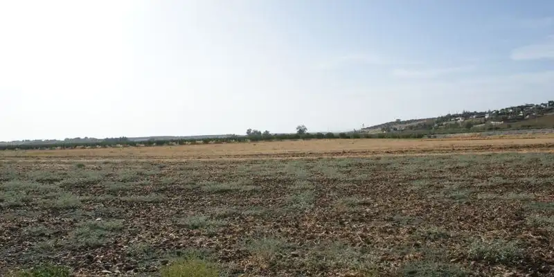 Casa o chalet en venta en La Carlota con Jardín privado, Terraza y Trastero