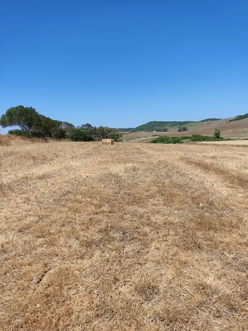 Country homes for rent in Medina Sidonia