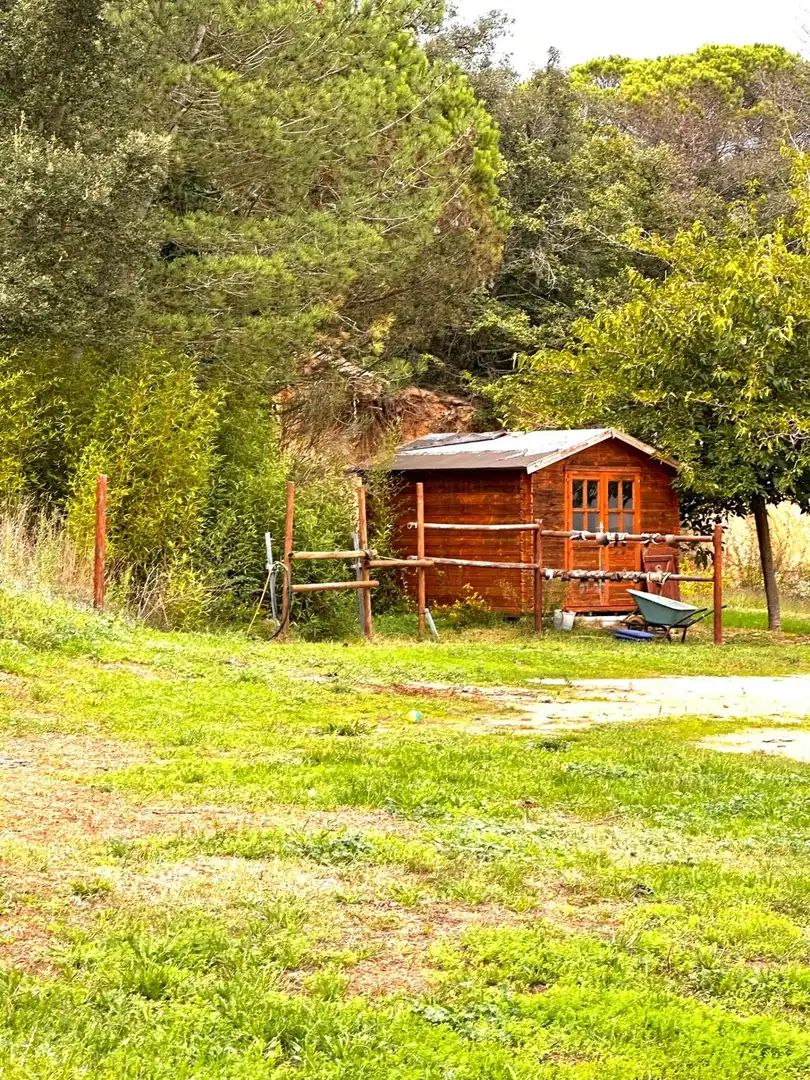 Vista exterior de Finca rústica en venta en Maçanet de la Selva con Calefacción, Jardín privado y Terraza