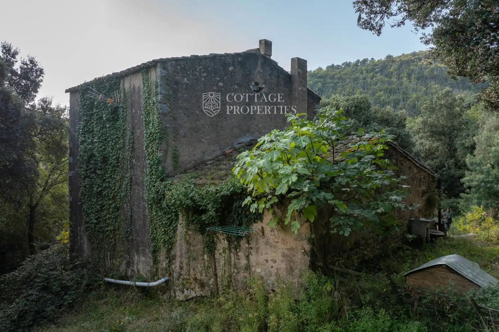 Vista exterior de Finca rústica en venta en Maçanet de Cabrenys