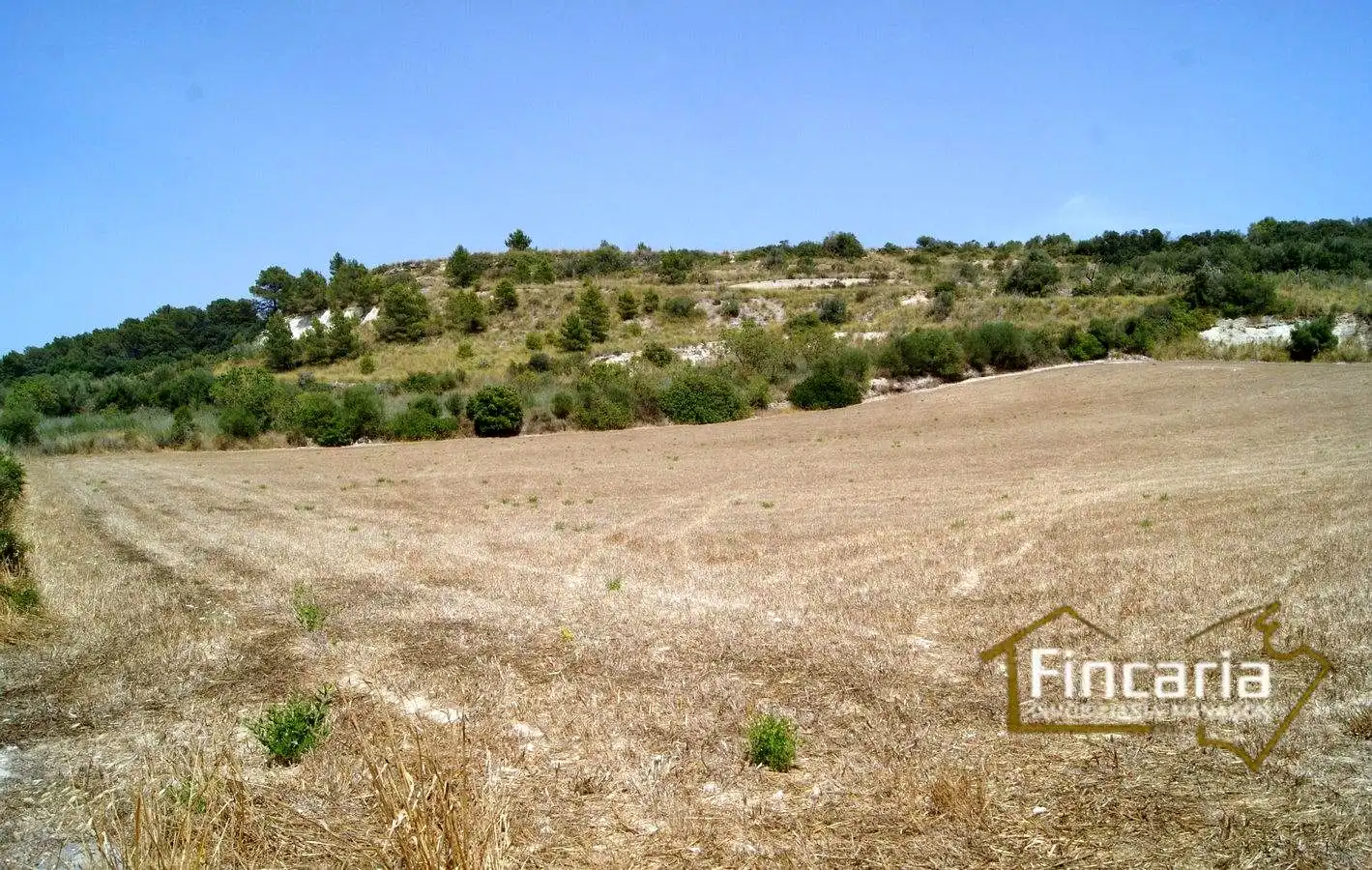 Terrenys i solars en venda a Camí de sa Murtera, imagen 7
