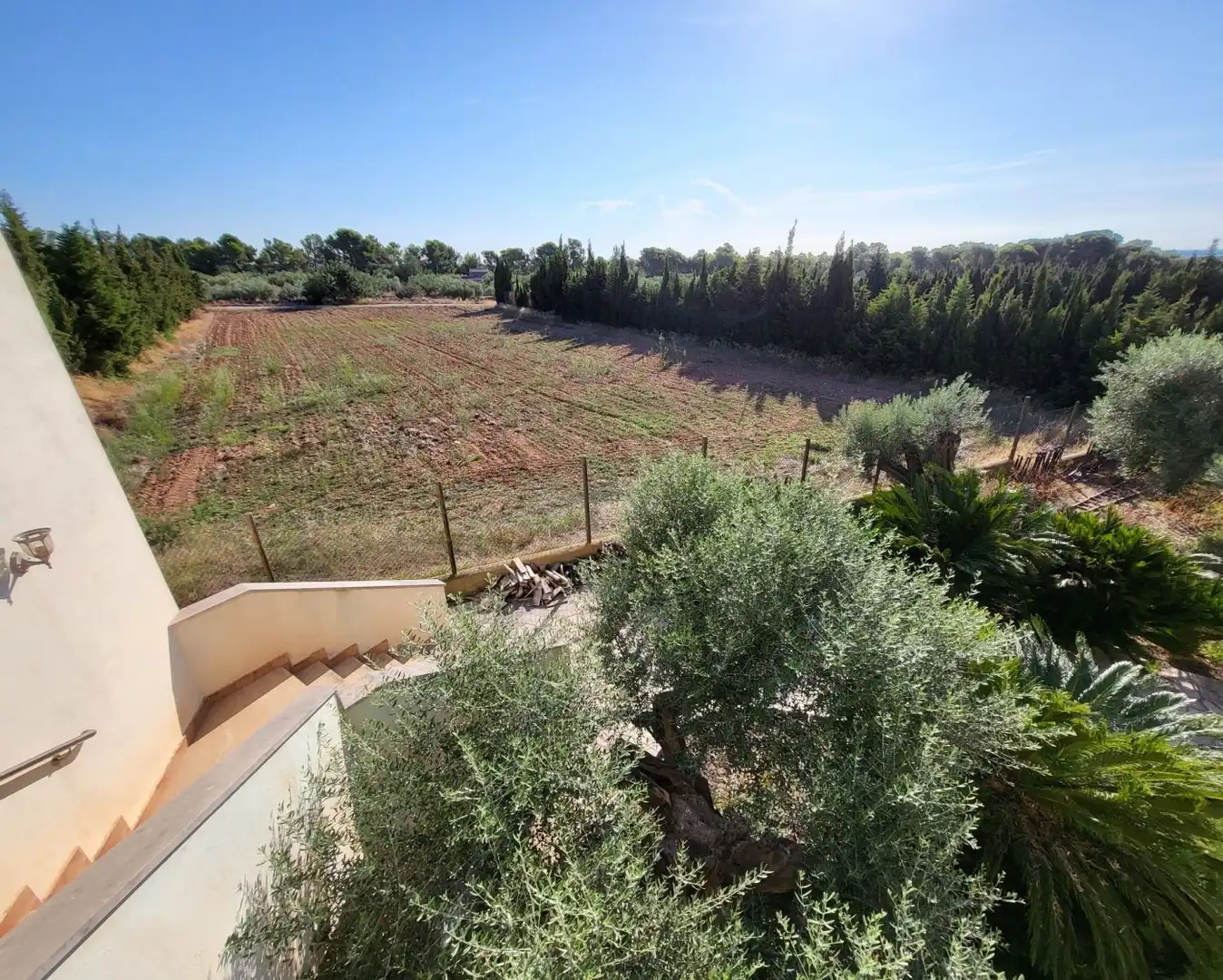 Casa rústica con jardín en venta en Camarles, imagen 43