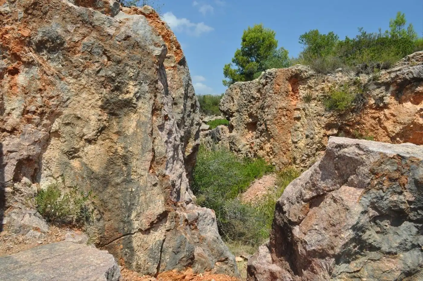 Land for sale in Camí del Barranc de la Llet, 26, Sant Llàtzer