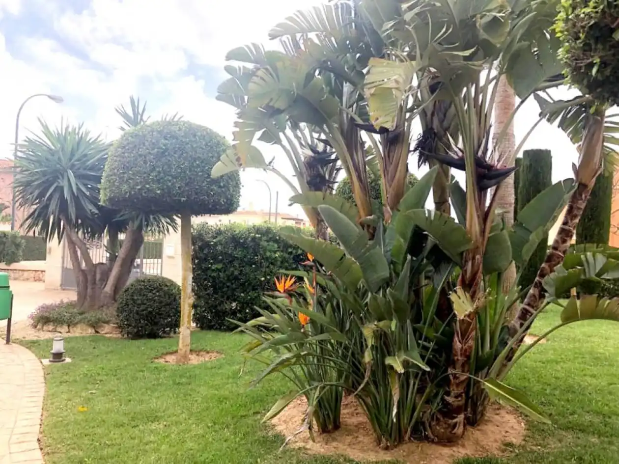 Jardín de Apartamento en venta en Campos