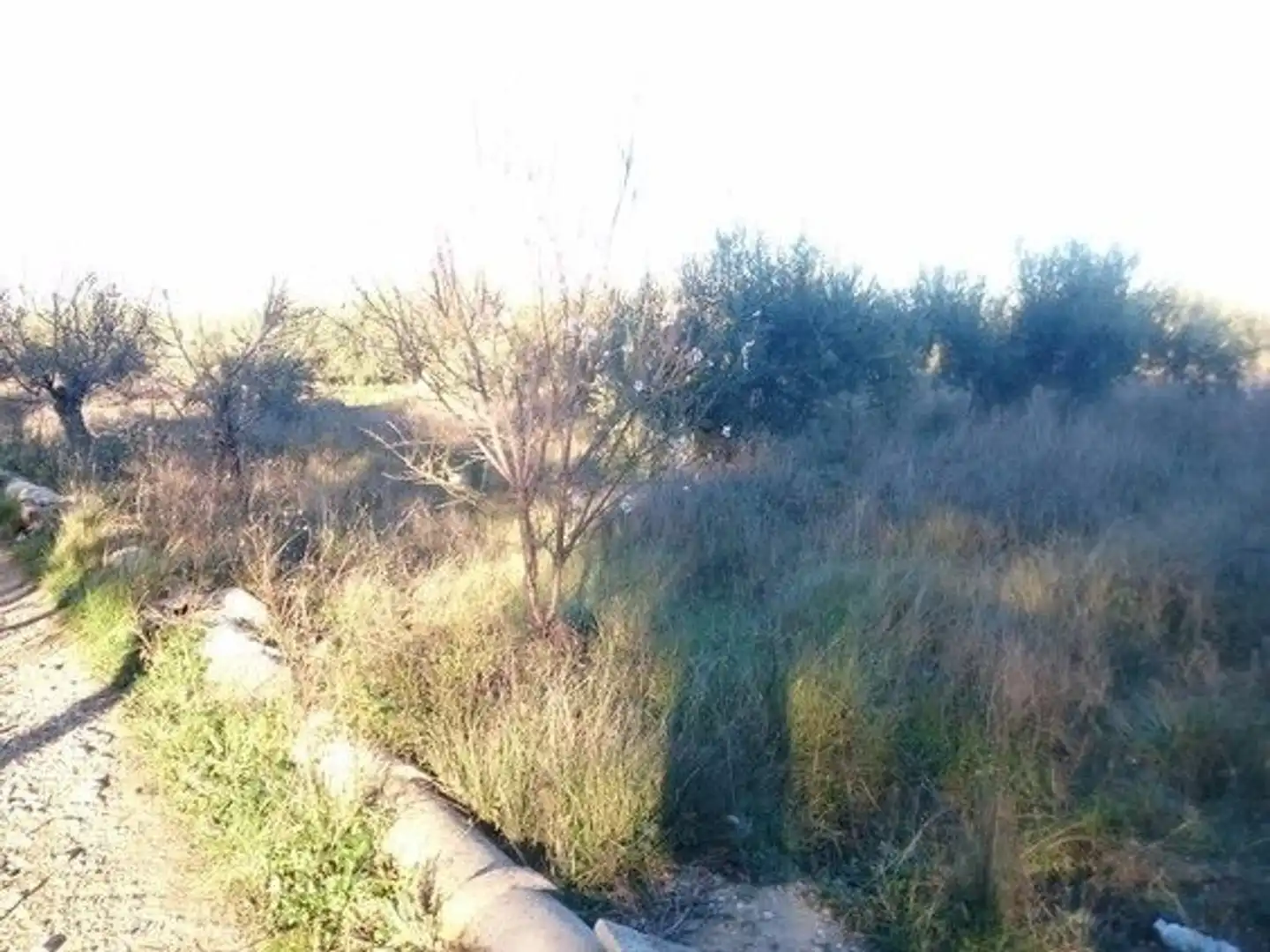 Terreni e lotti in vendita a Moratalla, imagen 7