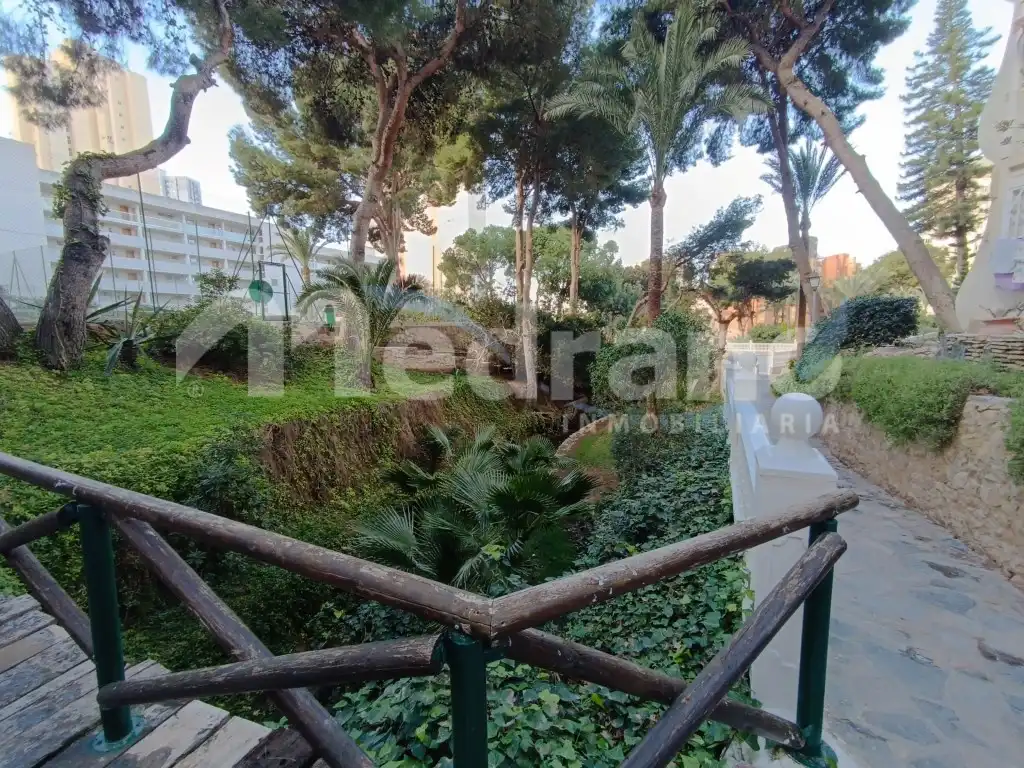 Jardín de Estudio en venta en Benidorm con Jardín privado, Piscina y Piscina comunitaria
