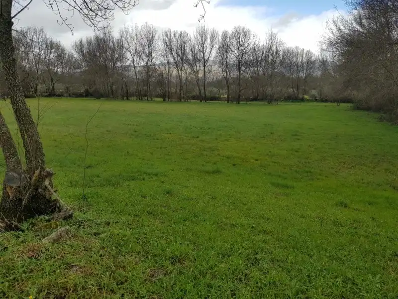 Terreni e lotti in vendita a Tejeda de Tiétar, imagen 2