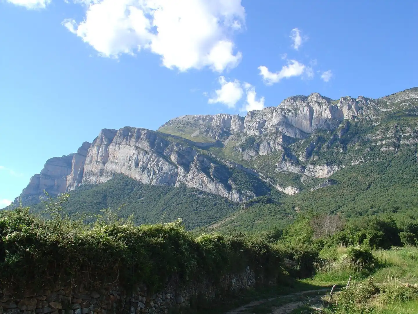 Vista exterior de Finca rústica en venda en El Pueyo de Araguás
