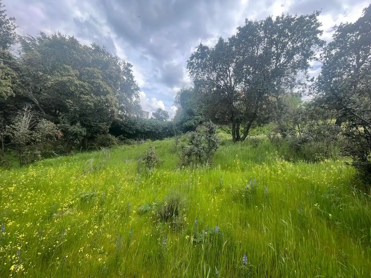 Grundstücke und Bauplätze zum Verkauf in Guadarrama, imagen 16
