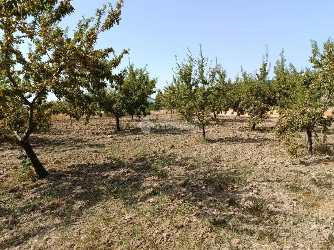 Wohnbaugrundstück zum Verkauf in Gójar, imagen 11
