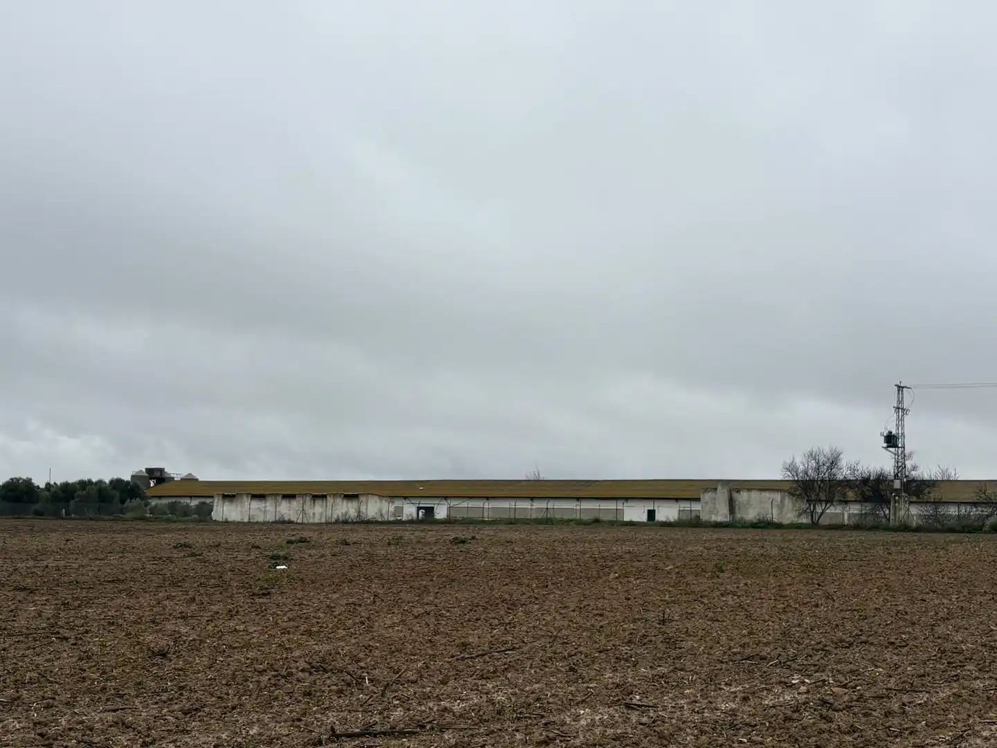 Terreno rustico in vendita a La Orden, imagen 10