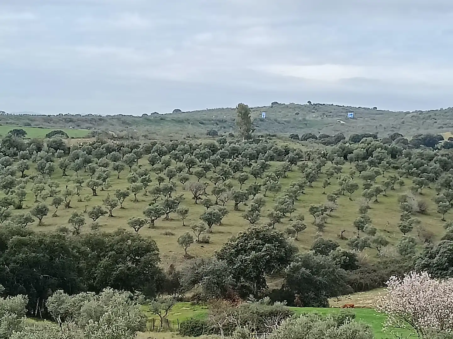 Terreni e lotti in vendita a N/A, imagen 5