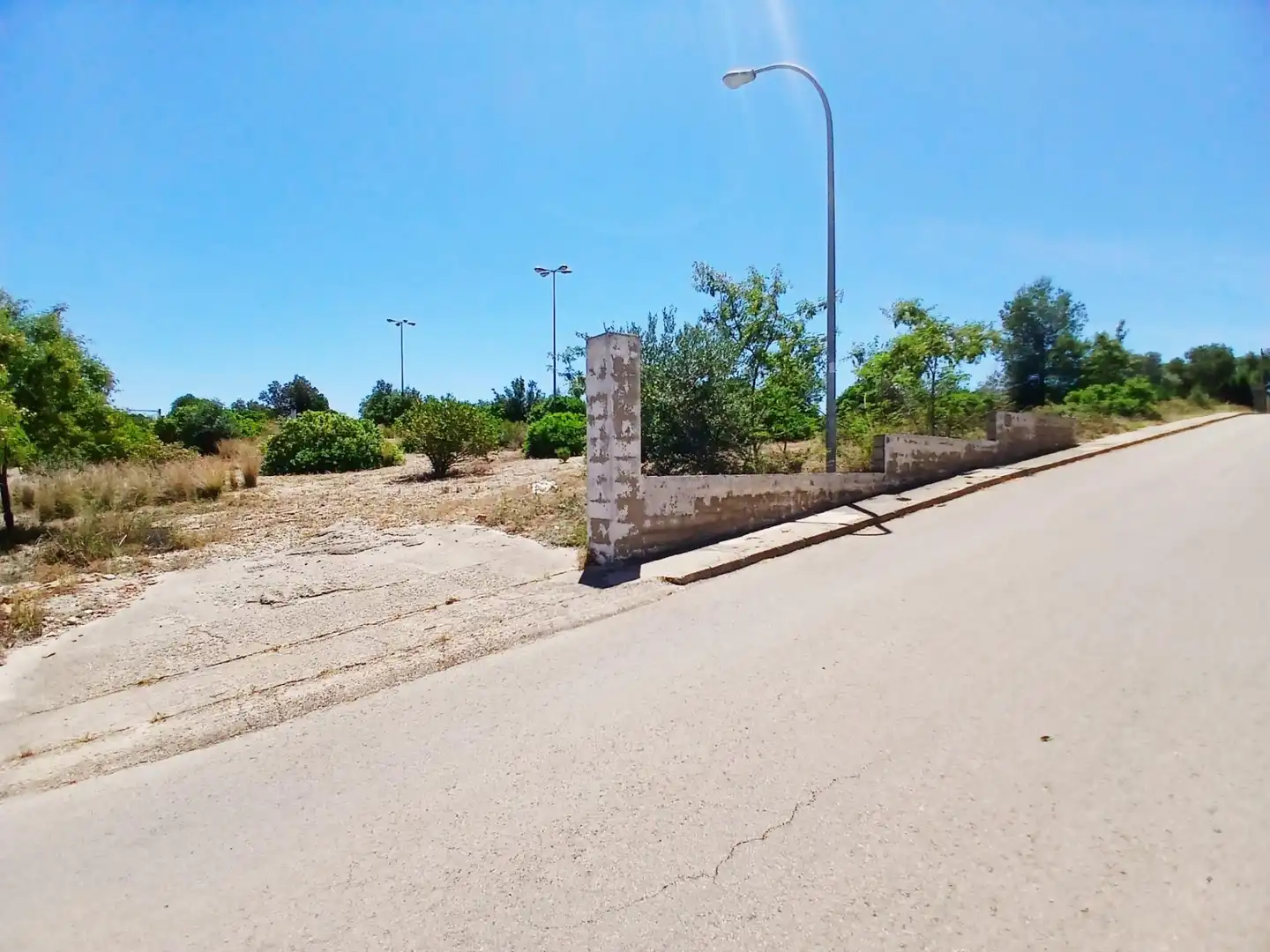 Terreny residencial en venda a Alberic, imagen 7