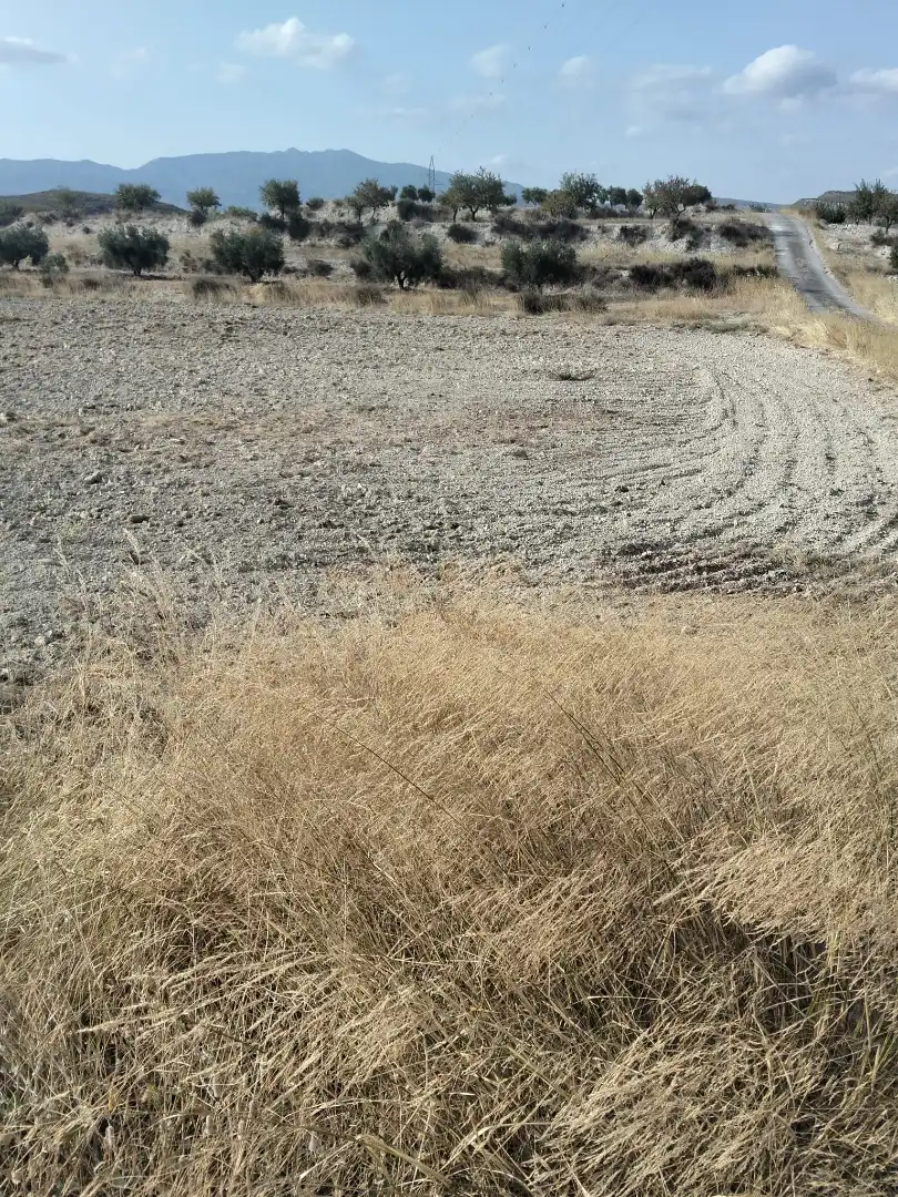 Lands and plots for sale in N/A, imagen 3