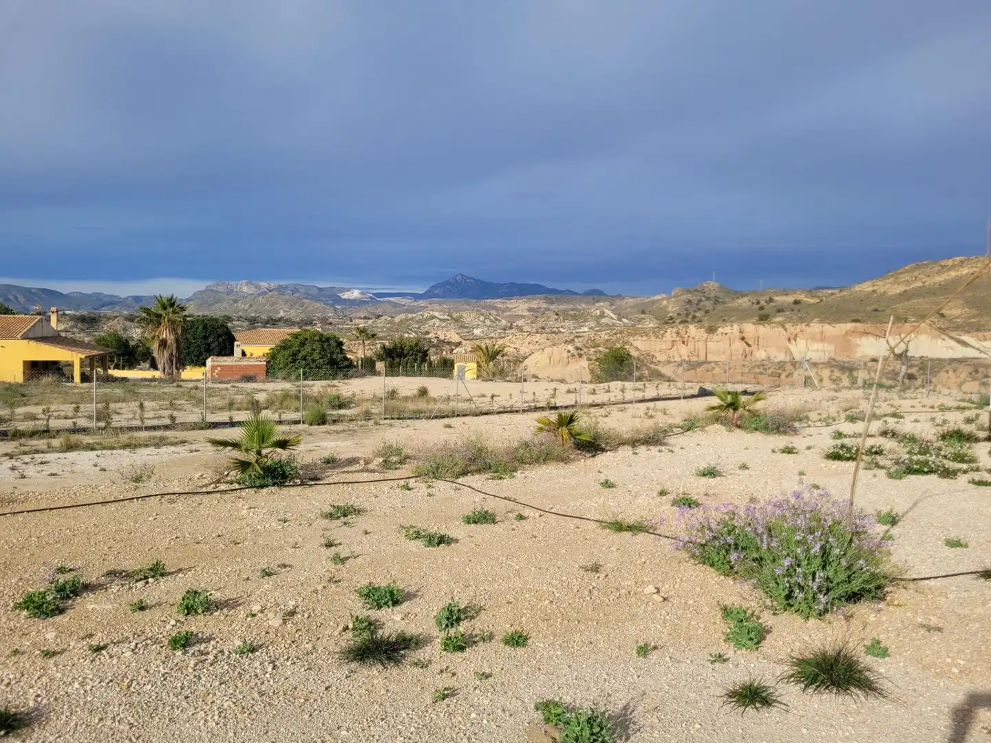 Houses for sale in Abanilla  with Private garden and Terrace