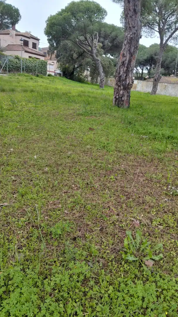Residential land for sale in Los Franceses – La Vega, imagen 3