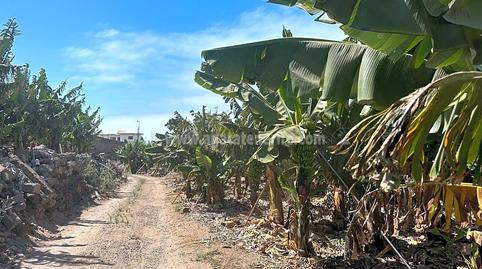 Foto 4 de Finca rústica en venda a Buenavista del Norte, Santa Cruz de Tenerife