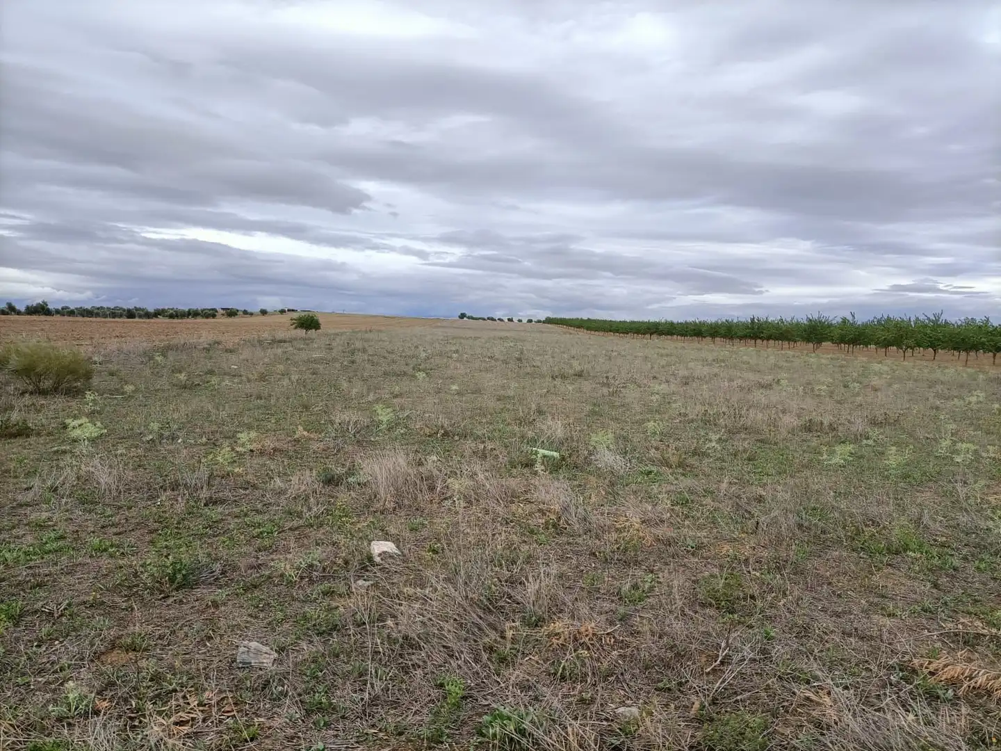 Terreno rustico in vendita a Nambroca, imagen 4