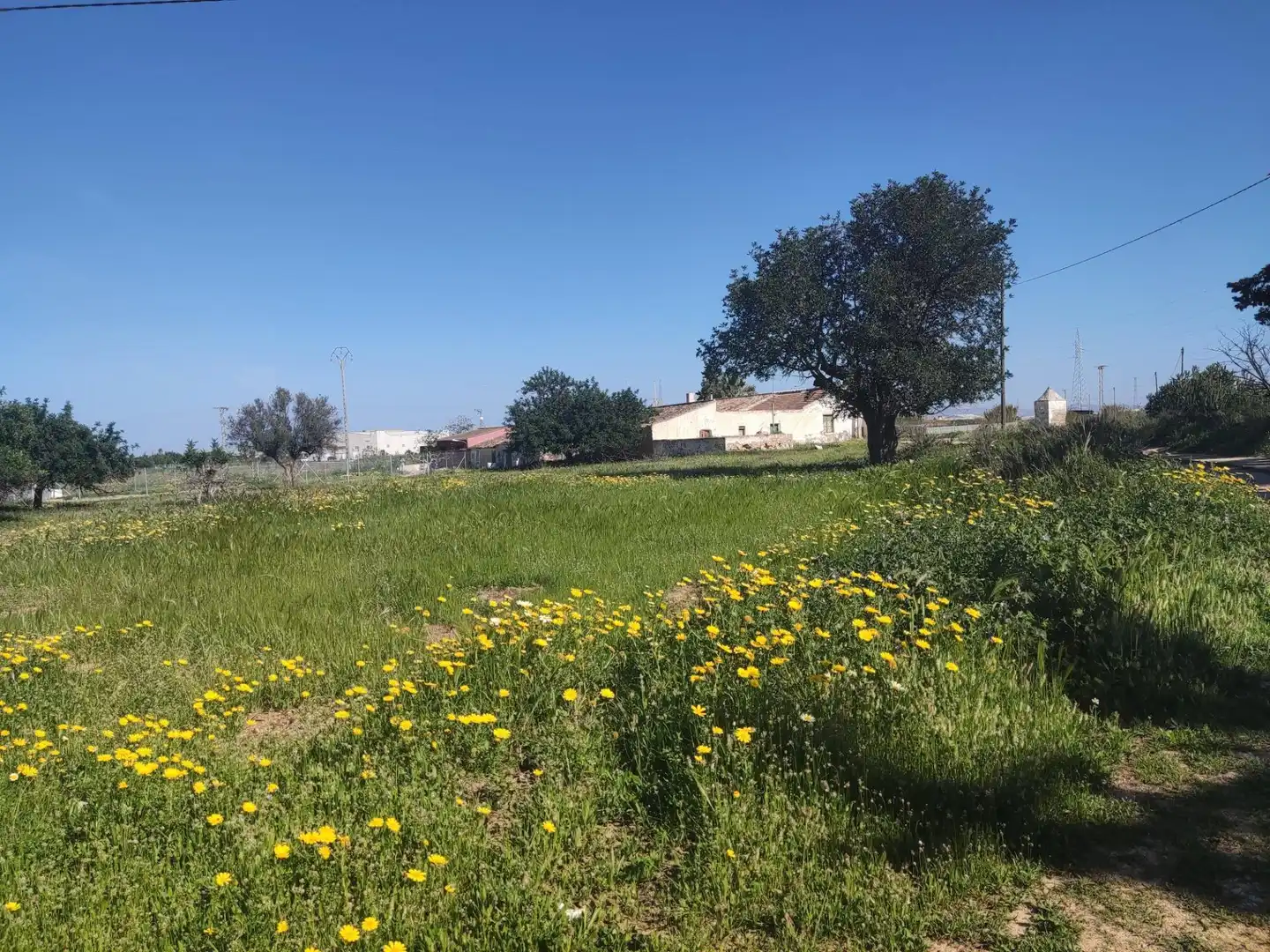 Finca rústica en venda en Cartagena