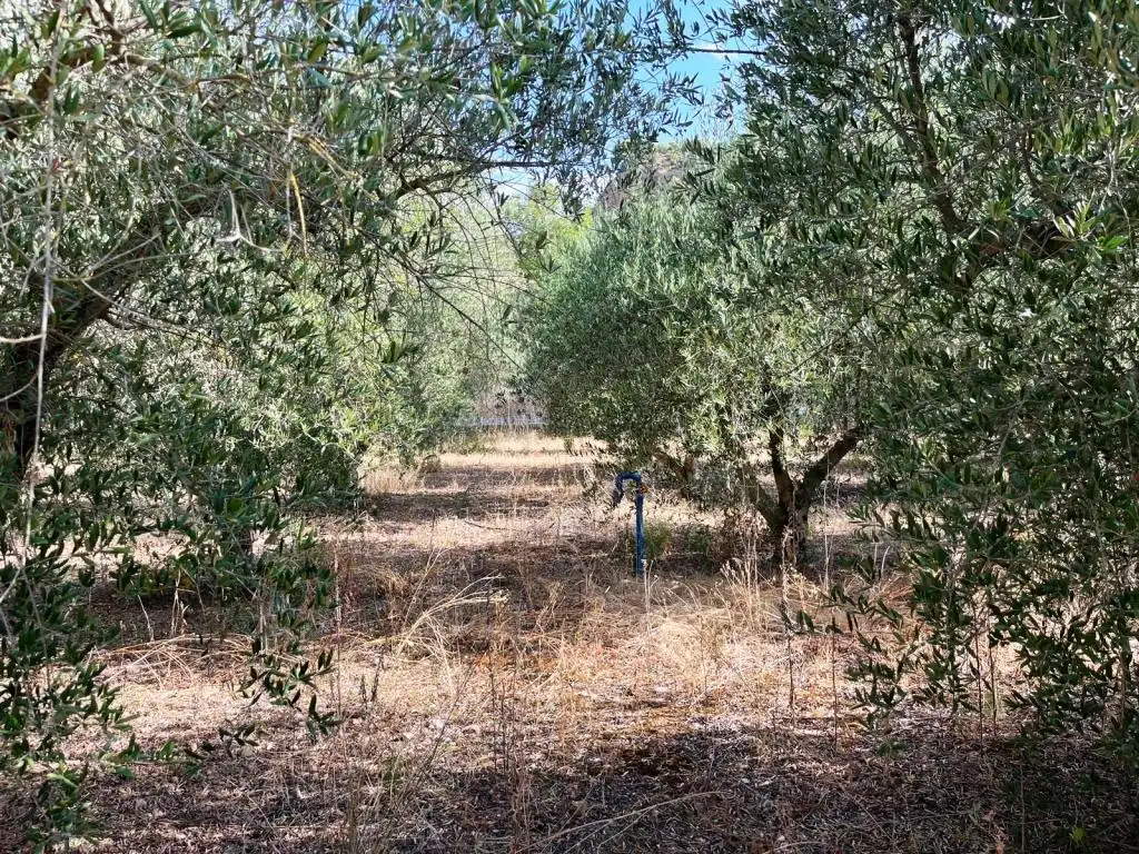 Casa o chalet en venta en Baldellou