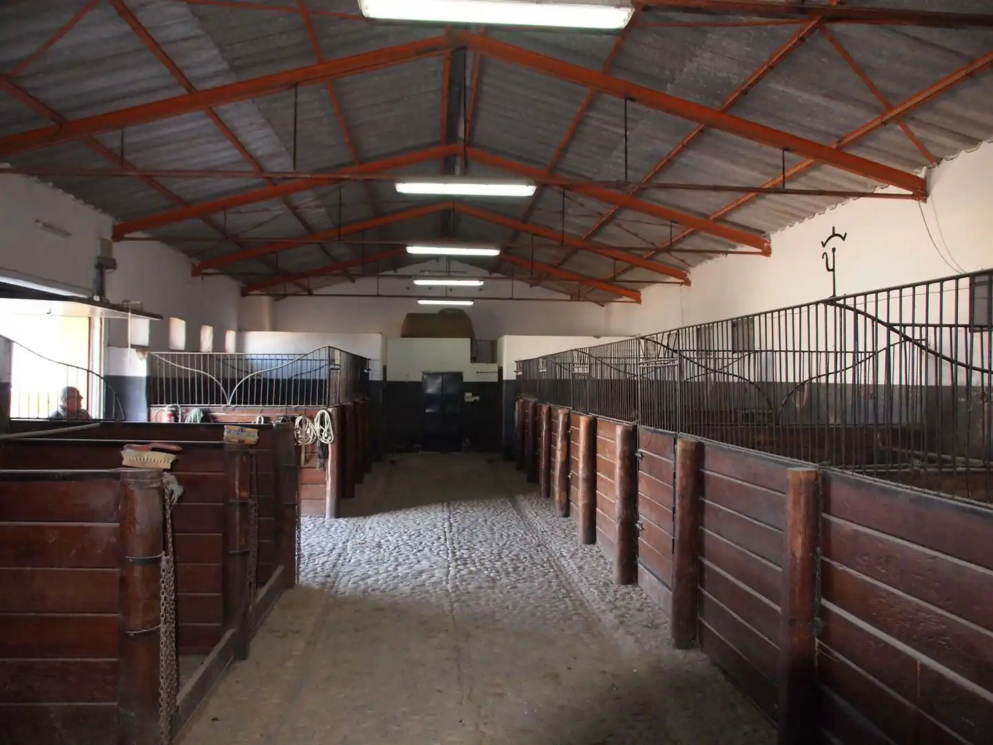 Country homes for sale in Marchena  with Terrace and Swimming Pool