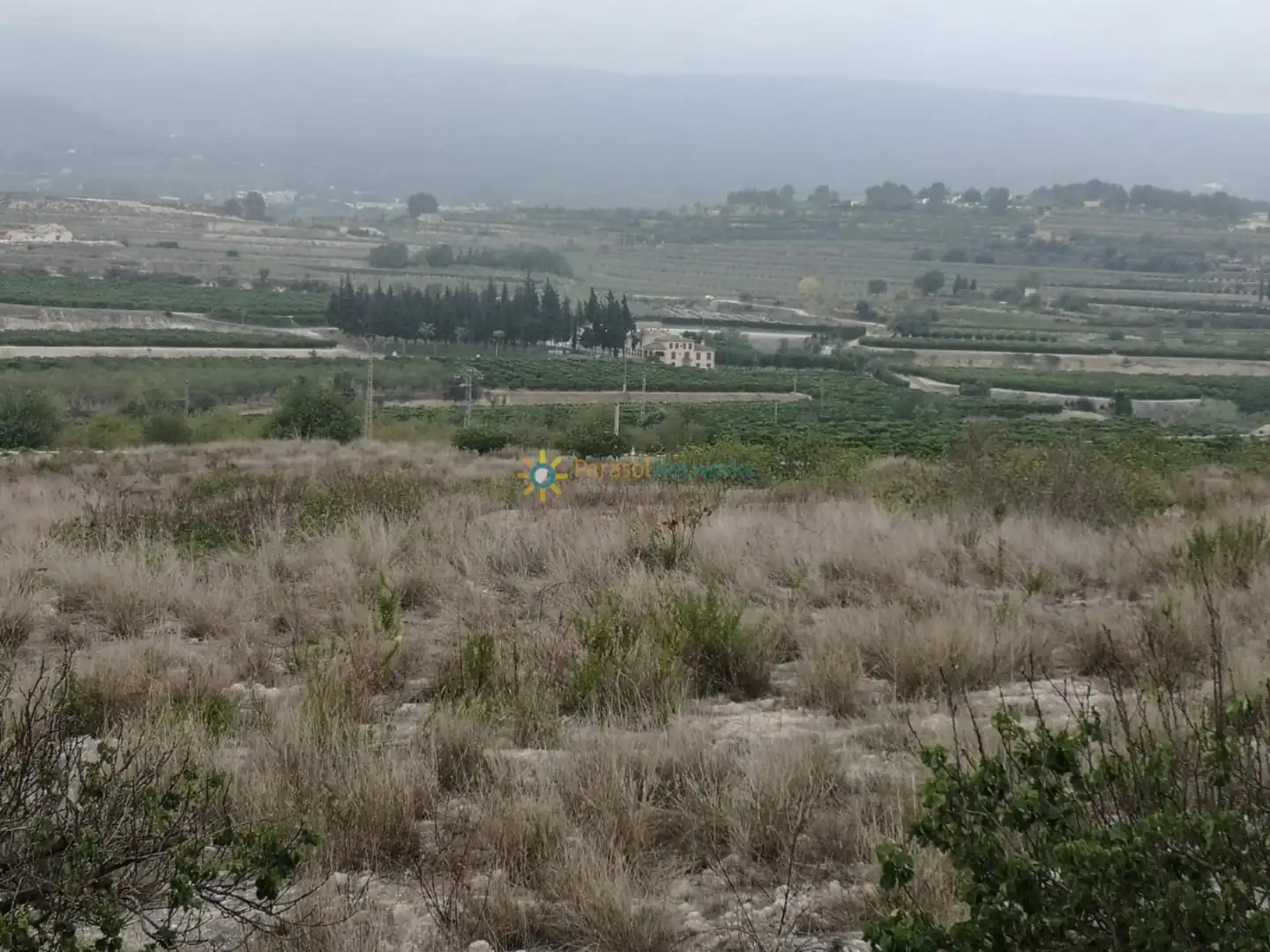 Terreny rústic en venda a Albaida, imagen 2