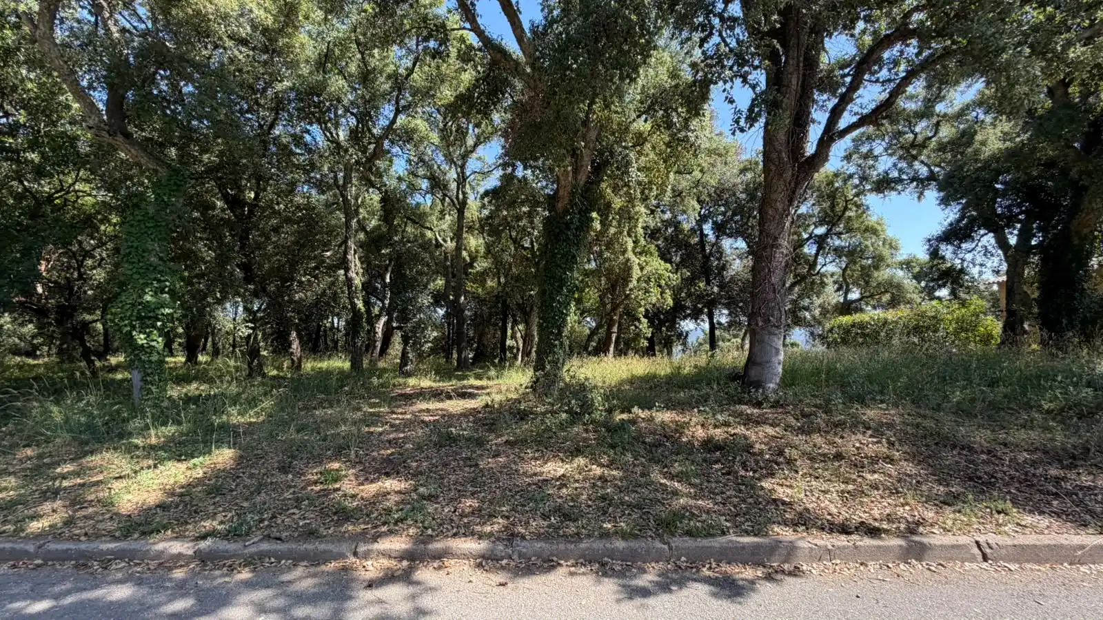Terreno residencial en venta en Montsoriu Sortida 167, imagen 2