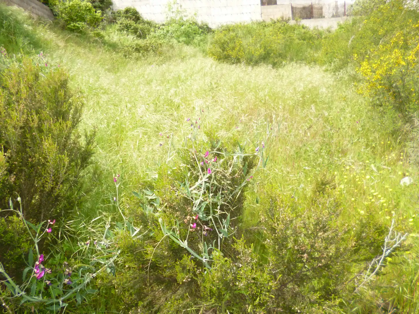 Wohnbaugrundstück zum Verkauf in Palafolls, imagen 2