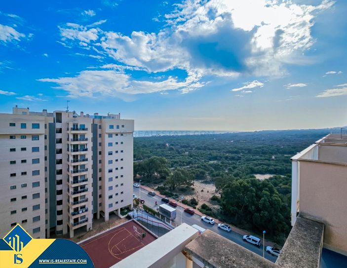 Vista exterior de Dúplex en venda en Guardamar del Segura amb Terrassa, Moblat i Piscina comunitària