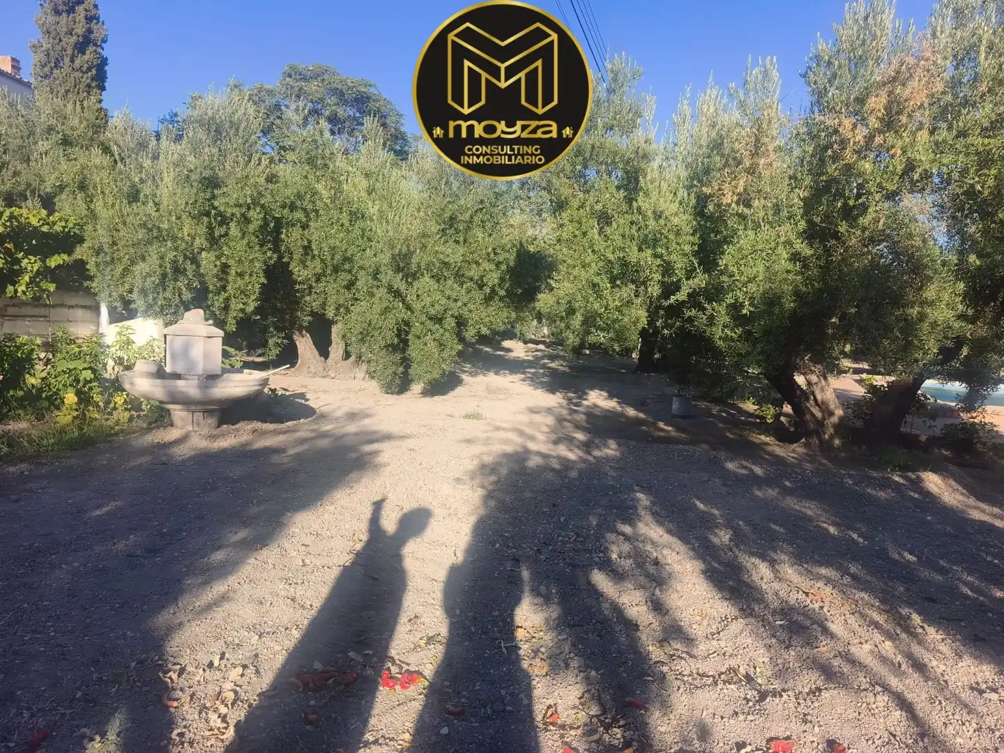 Villa à vendre à La Guardia de Jaén, imagen 4