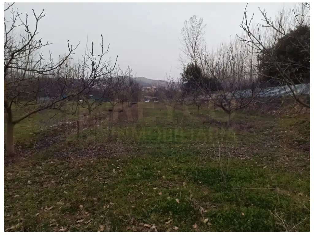 Casa rústica en venda a Bobadilla, imagen 16