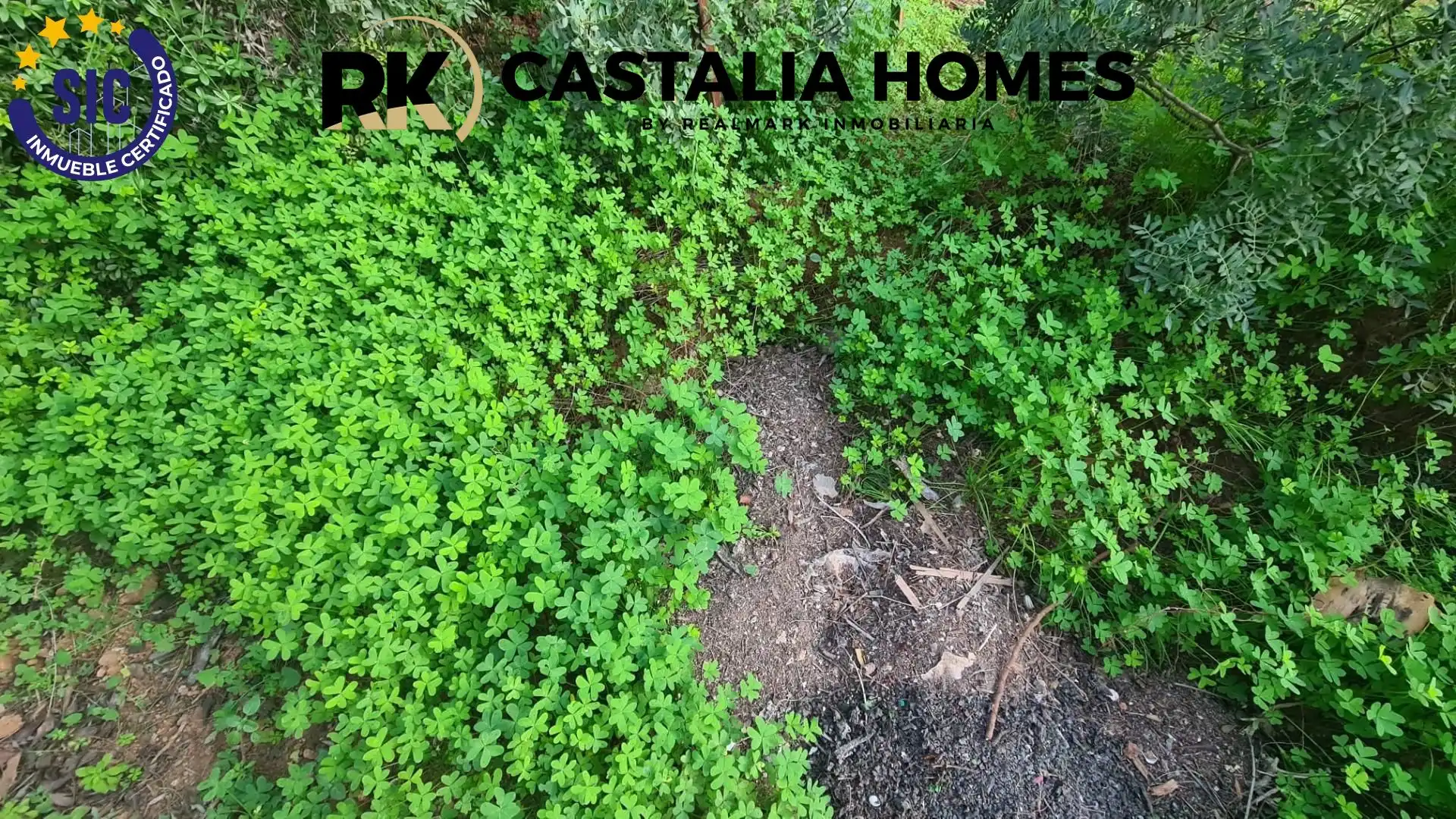 Casa o chalet en venta en Borriol con Jardín privado y Piscina