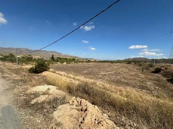 Terreno rústico en venta en Hondón de los Frailes, imagen 9